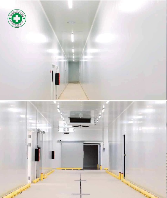 Exterior e intertior cámara frigorifica con revestimiento P300